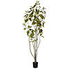 Vickerman 5' Artificial Green Potted Cotinus Coggygria Tree Image 1