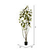 Vickerman 5' Artificial Green Potted Cotinus Coggygria Tree Image 3