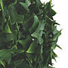 Vickerman 5" Artificial Mini Ivy Ball UV - 4/pk Image 1