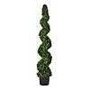 Vickerman 5' Artificial Potted Green Boxwood Spiral Tree Image 1