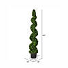 Vickerman 5' Artificial Potted Green Boxwood Spiral Tree Image 2