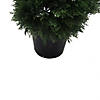 Vickerman 5' Artificial Potted Green Cedar Spiral Tree Image 3