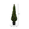 Vickerman 5' Artificial Potted Green Cedar Tree Image 2