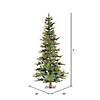Vickerman 5' Ashland Christmas Tree - Unlit Image 2