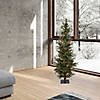 Vickerman 5' Ashland Christmas Tree with Clear Lights Image 4