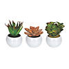 Vickerman 5" Assorted Potted Succulents - 3/pk Image 1