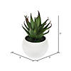 Vickerman 5" Assorted Potted Succulents - 3/pk Image 1