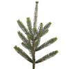 Vickerman 5' Bed Rock Pine Christmas Tree - Unlit Image 1