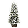 Vickerman 5' Frosted  Wendell Slim Potted Pine Artificial Christmas Tree, Warm White Dura-lit LED Lights Image 1