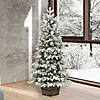 Vickerman 5' Frosted  Wendell Slim Potted Pine Artificial Christmas Tree, Warm White Dura-lit LED Lights Image 2