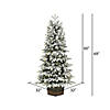 Vickerman 5' Frosted  Wendell Slim Potted Pine Artificial Christmas Tree, Warm White Dura-lit LED Lights Image 3
