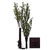 Vickerman 5' Green Mini Pine Twig Tree, Warm White 3mm Wide Angle LED lights. Image 2