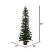 Vickerman 5' Mini Pine Christmas Tree - Unlit Image 1