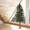 Vickerman 5' Mixed Country Alpine Christmas Tree - Unlit Image 2