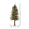 Vickerman 5' Mixed Country Alpine Christmas Tree with Clear Lights Image 1