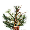 Vickerman 5' Mixed Country Alpine Christmas Tree with Clear Lights Image 2