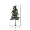 Vickerman 5' Natural Alpine Christmas Tree - Unlit Image 2
