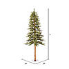 Vickerman 5' Natural Alpine Christmas Tree with Clear Lights Image 2