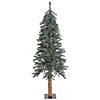Vickerman 5' Natural Bark Alpine Christmas Tree - Unlit Image 1