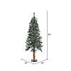 Vickerman 5' Natural Bark Alpine Christmas Tree - Unlit Image 1