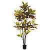 Vickerman 5' Potted Artificial Green and Orange Cronton Tree Image 1