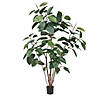 Vickerman 5' Potted Artificial Green Rubber Tree Image 1