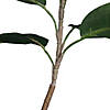 Vickerman 5' Potted Artificial Green Rubber Tree Image 3