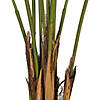 Vickerman 5' Potted Giant Areca Palm Tree Image 3