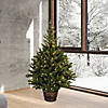 Vickerman 5' Reeder Pine Artificial Christmas Tree, Warm White Dura-lit LED Lights Image 2