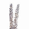 Vickerman 5' Vintage Aluminum Artificial Christmas Tree, Warm White LED Wide Angle  Lights Image 1