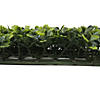 Vickerman 50" Artificial Green Boxwood Mat Image 2