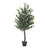 Vickerman 50" Artificial Olive Tree in Pot Image 1