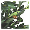 Vickerman 50" Artificial Olive Tree in Pot Image 2