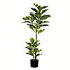 Vickerman 50" Artificial Potted Dieffenbachia Tree Image 1