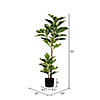 Vickerman 50" Artificial Potted Dieffenbachia Tree Image 2