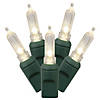 Vickerman 50 Lights LED Warm White with Green Wire Italian - 6"x25' Long Christmas Light Set Image 1