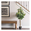 Vickerman 51" Artificial Green and Orange Real Touch Orange Tree Image 1