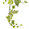 Vickerman 51" Green & White Grape Leaf Ivy Hanging Bush Image 1