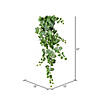 Vickerman 51" Green & White Grape Leaf Ivy Hanging Bush Image 3