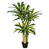 Vickerman 52" Artificial Green and Yellow Real Touch Dracaena Tree Image 1