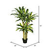 Vickerman 52" Artificial Green and Yellow Real Touch Dracaena Tree Image 2