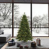 Vickerman 6.5' Camdon Fir Christmas Tree with Clear Lights Image 3