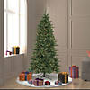 Vickerman 6.5' Camdon Fir Slim Christmas Tree with Clear Lights Image 3