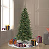 Vickerman 6.5' Camdon Fir Slim Christmas Tree with Multi LED Lights Image 2