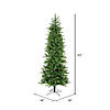 Vickerman 6.5' Carolina Pencil Spruce Christmas Tree - Unlit Image 2