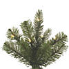 Vickerman 6.5' Carolina Pencil Spruce Christmas Tree with Clear Lights Image 1