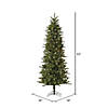 Vickerman 6.5' Carolina Pencil Spruce Christmas Tree with Clear Lights Image 2