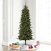 Vickerman 6.5' Carolina Pencil Spruce Christmas Tree with Warm White LED Lights Image 3
