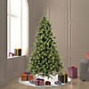 Vickerman 6.5' Cashmere Pine Christmas Tree - Unlit Image 3