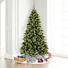 Vickerman 6.5' Cashmere Pine Christmas Tree with Multi-Colored LED Lights Image 3